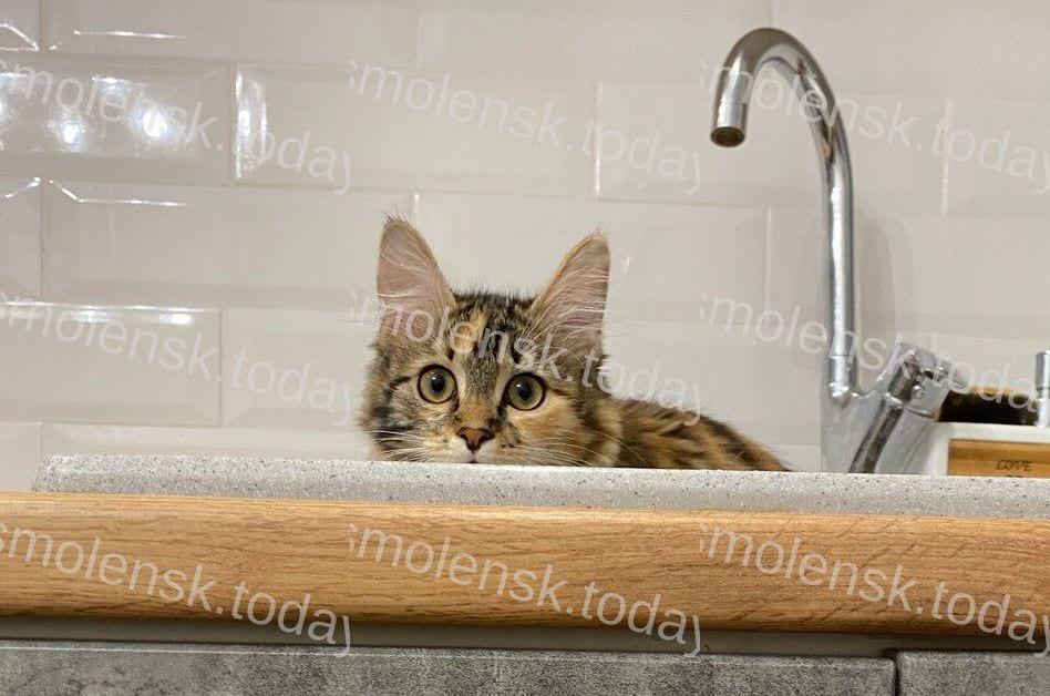 В Смоленске устраняют последствия аварии с водой в десяти домах