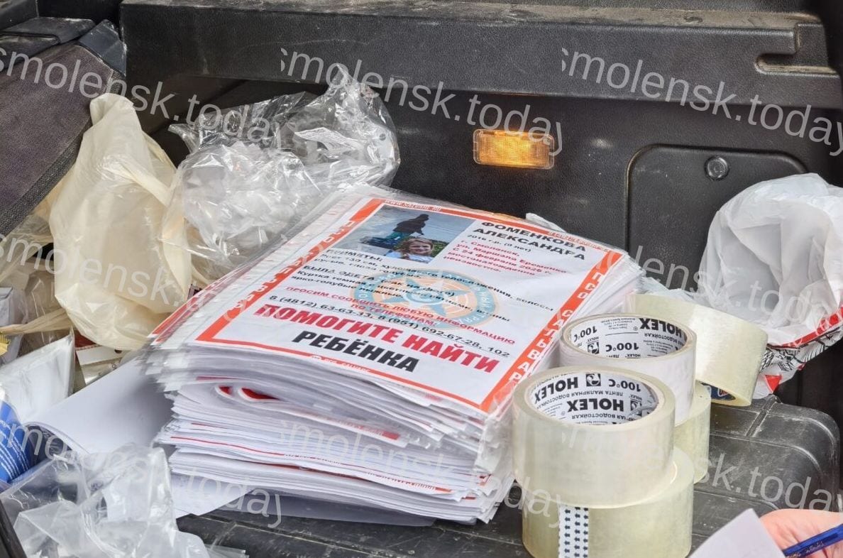 Поиски владельца серого автомобиля продолжаются в деле пропавшей девочки