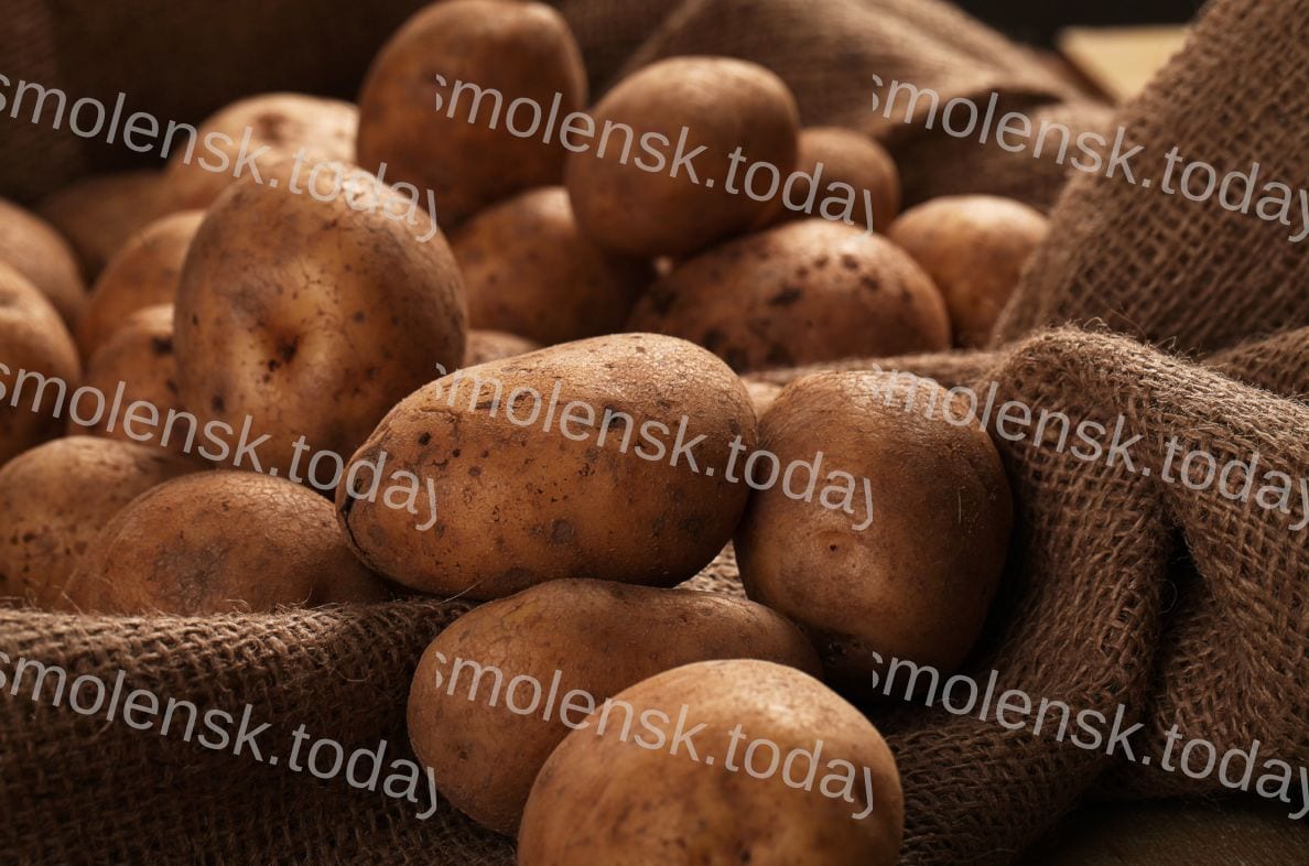 Самые доступные цены на картофель в России