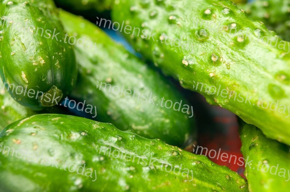 Изменение цен в Смоленской области: обзор инфляции в первом месяце 2026 года