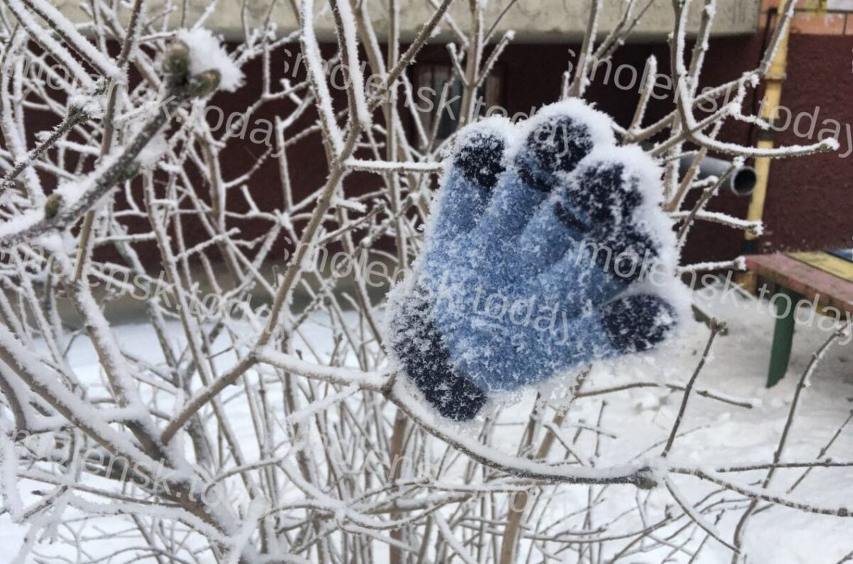 В Смоленске продолжаются поиски пропавшей 9-летней девочки