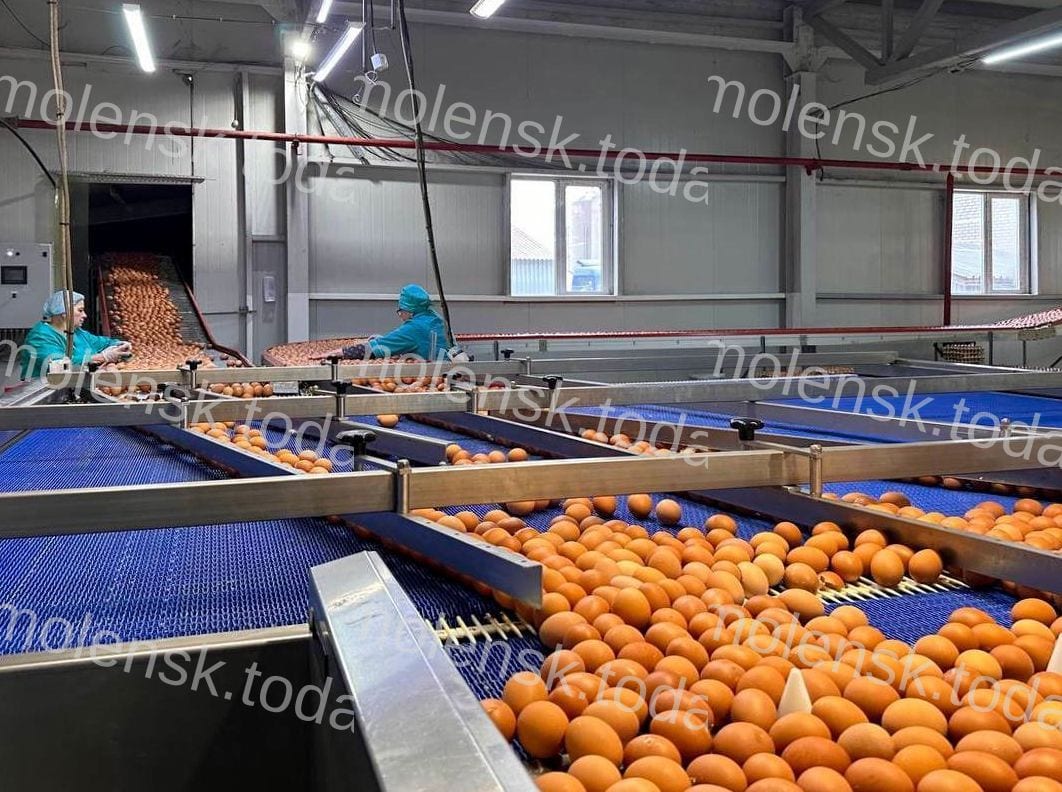 Обман с яйцами: смолянин обнаружил несоответствие веса в заказе